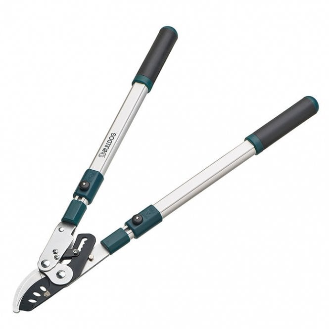 Bulldog BD3133TW Extendable Bypass Ratchet Lopping Shears