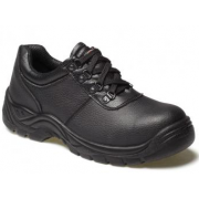 FA13310 Clifton Safety Shoe