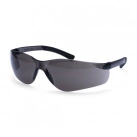 Panoramic View Black Safety Specs