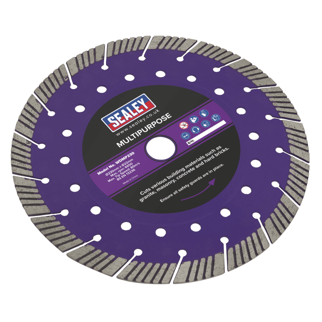 Worksafe WDMP230 9